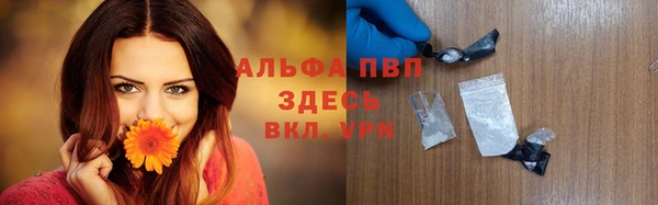 индика Балабаново