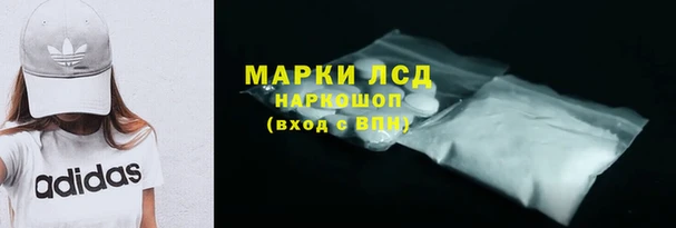 индика Балабаново