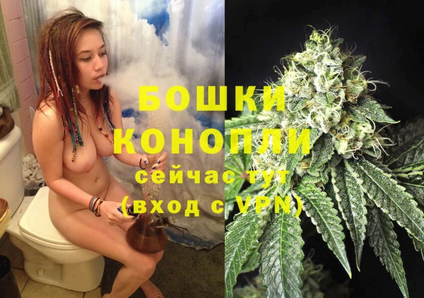 дмт Сясьстрой